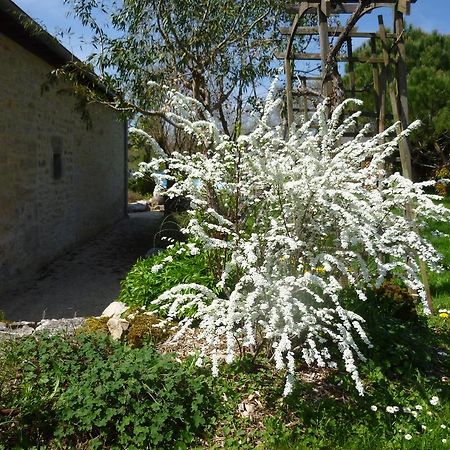 Au Mas De Gamet Bed and Breakfast Théminettes Εξωτερικό φωτογραφία