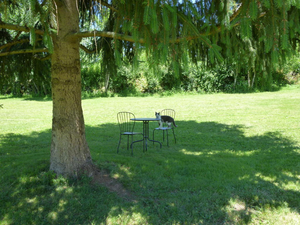 Au Mas De Gamet Bed and Breakfast Théminettes Εξωτερικό φωτογραφία