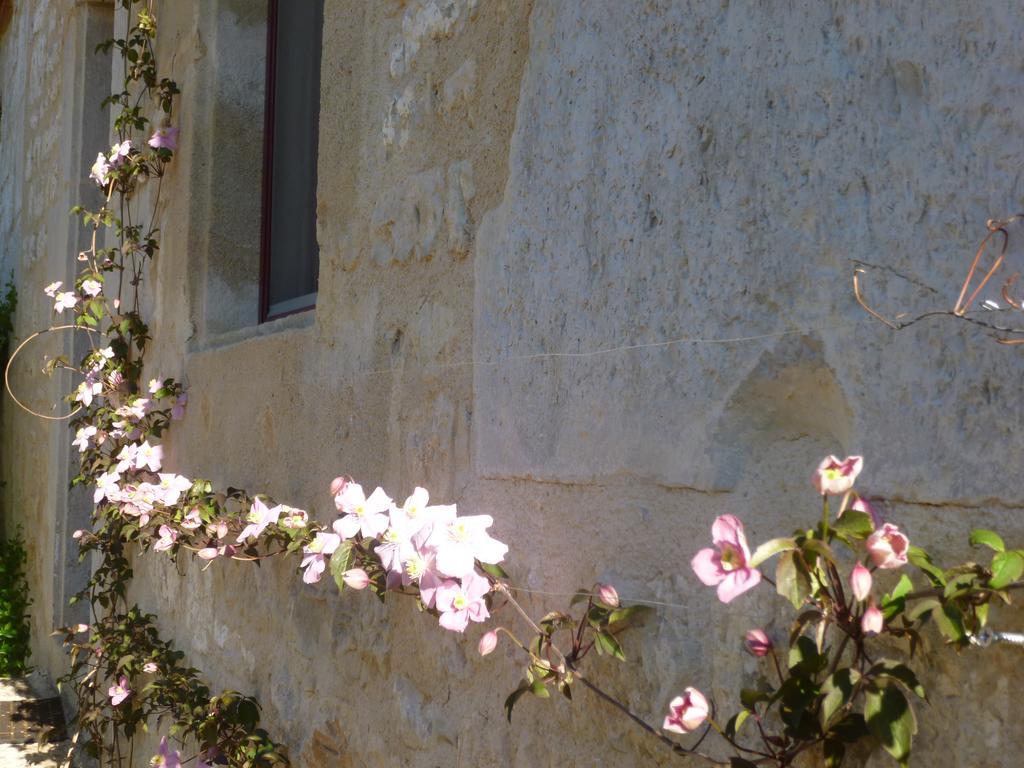 Au Mas De Gamet Bed and Breakfast Théminettes Εξωτερικό φωτογραφία