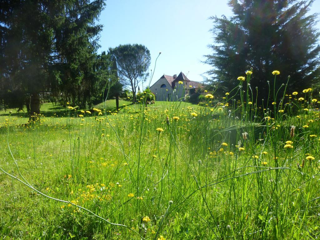 Au Mas De Gamet Bed and Breakfast Théminettes Εξωτερικό φωτογραφία